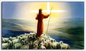 Schafe-Jesus